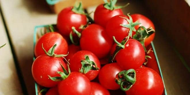Foodelphi.com cherry domates