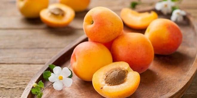 Foodelphi.com kayısı apricot