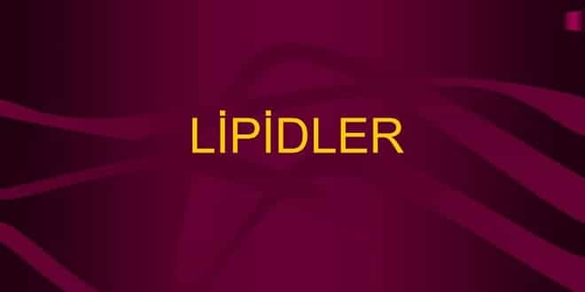 Foodelphi.com lipid lipit lipids